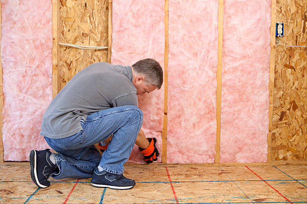 Best Specialty Insulation in Chincoteague, VA