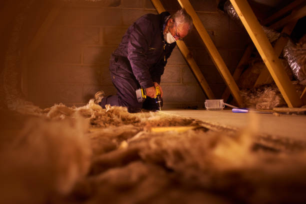 Best Residential Insulation in Chincoteague, VA