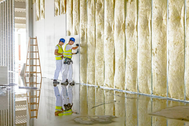 Best Insulation Installation Services in Chincoteague, VA